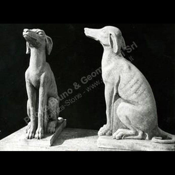 006 Pompeian Dogs