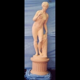 316 Statua Venere